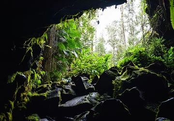 Lava tubes